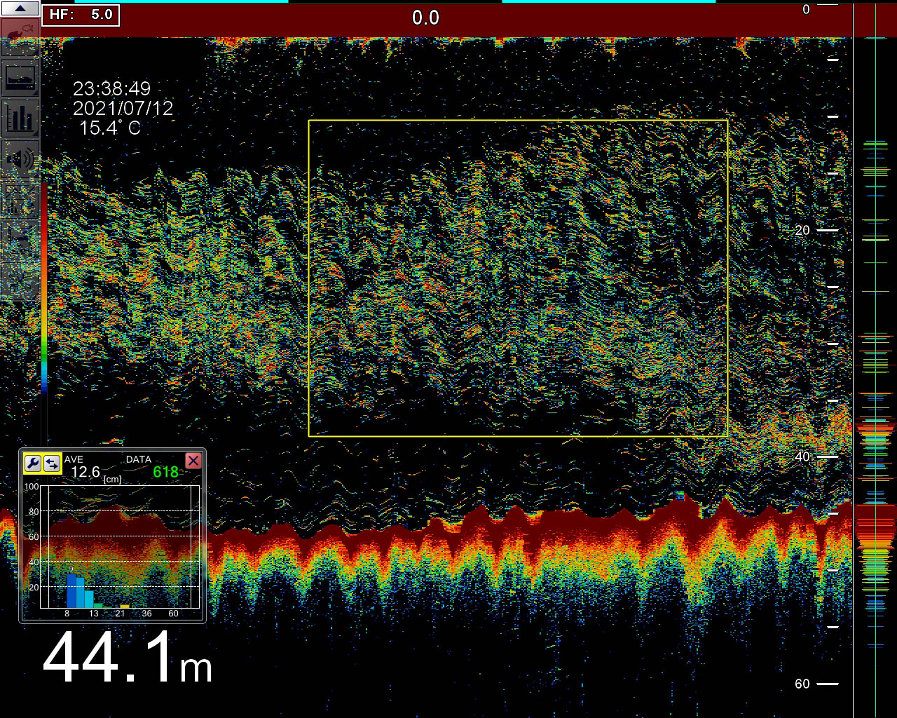 FSS-3BB_DETECTION_SARDINES_08