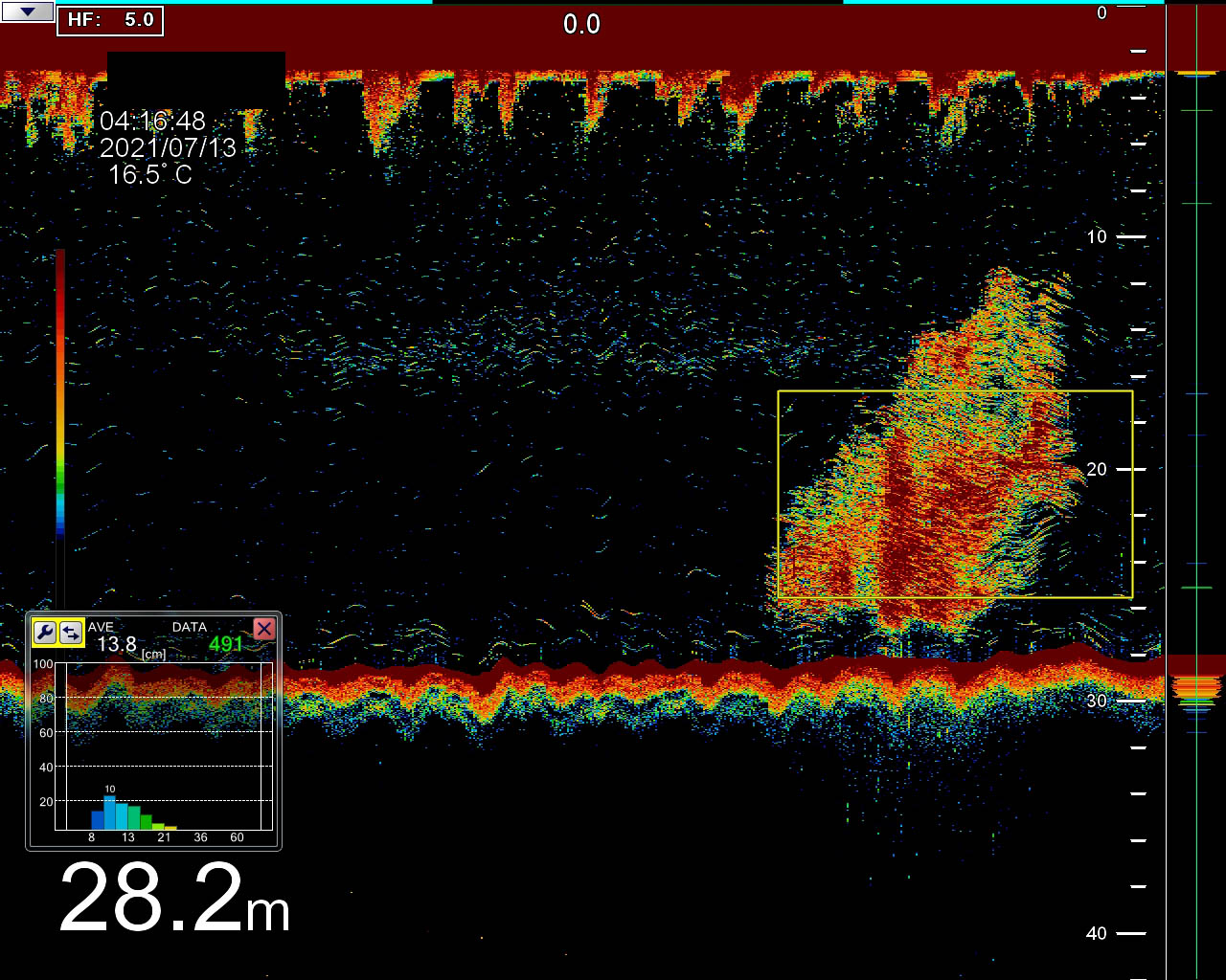 FSS-3BB_DETECTION_SARDINES_12