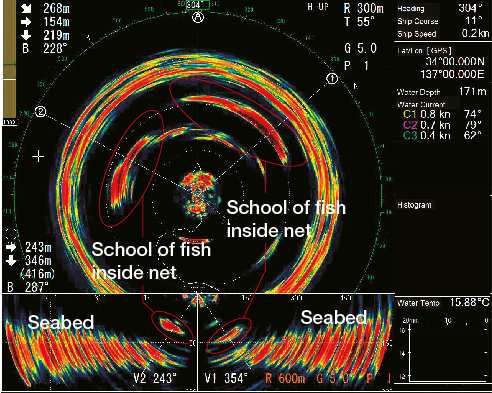 (300 m range) Two schools of fish can be seen right after the purse-line has been pulled and the net has been closed.