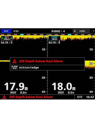 Affichage bi-frequence et alarme