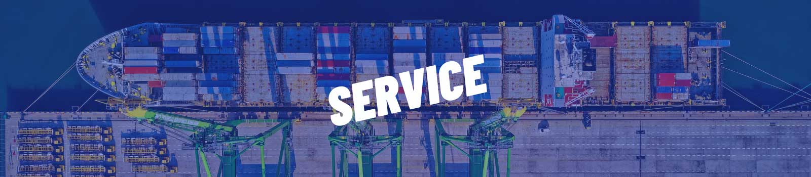 Service Furuno Italia